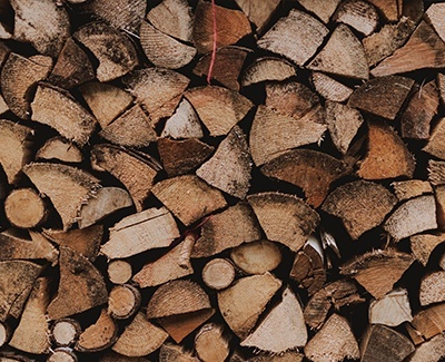 view of timber logs for biofuel