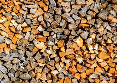 logs for biofuel